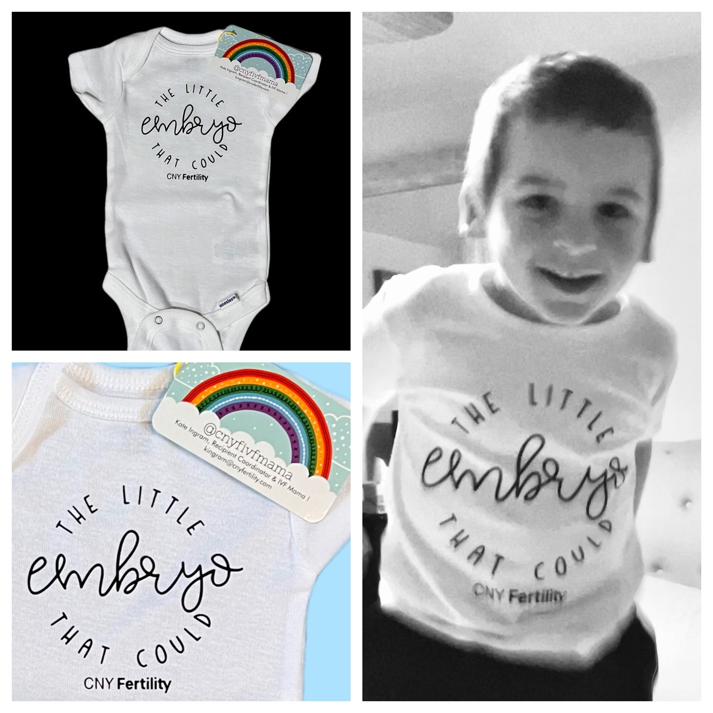 the little embryo that could